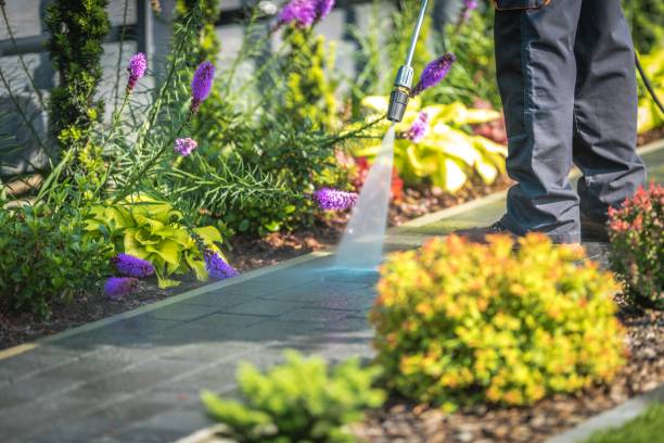 Best Fence Cleaning  in Dasher, GA