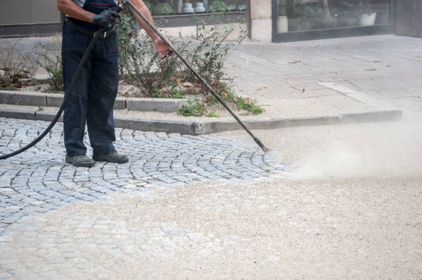 Best Sidewalk and Walkway Cleaning  in Dasher, GA