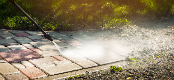 Best Animal Enclosure Cleaning  in Dasher, GA